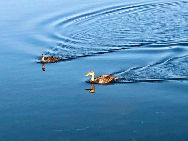 Building Photo - 2116 SE Eatonville Dr