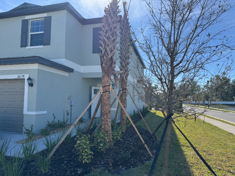 Building Photo - 36178 Risa Michele St