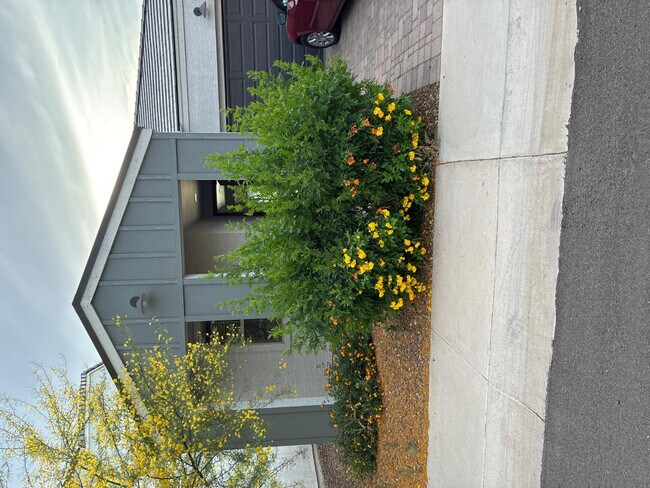 Building Photo - 5630 S Daisy Patch Pl