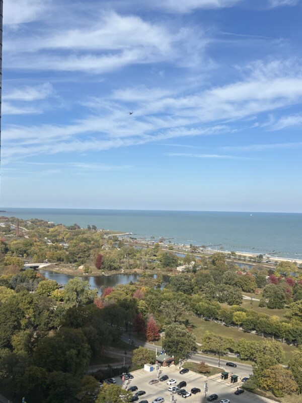 Building Photo - 1660 N La Salle Dr