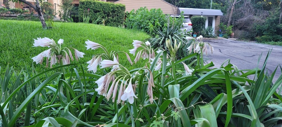 flowers throughout propoerty - 125 Woodland Dr