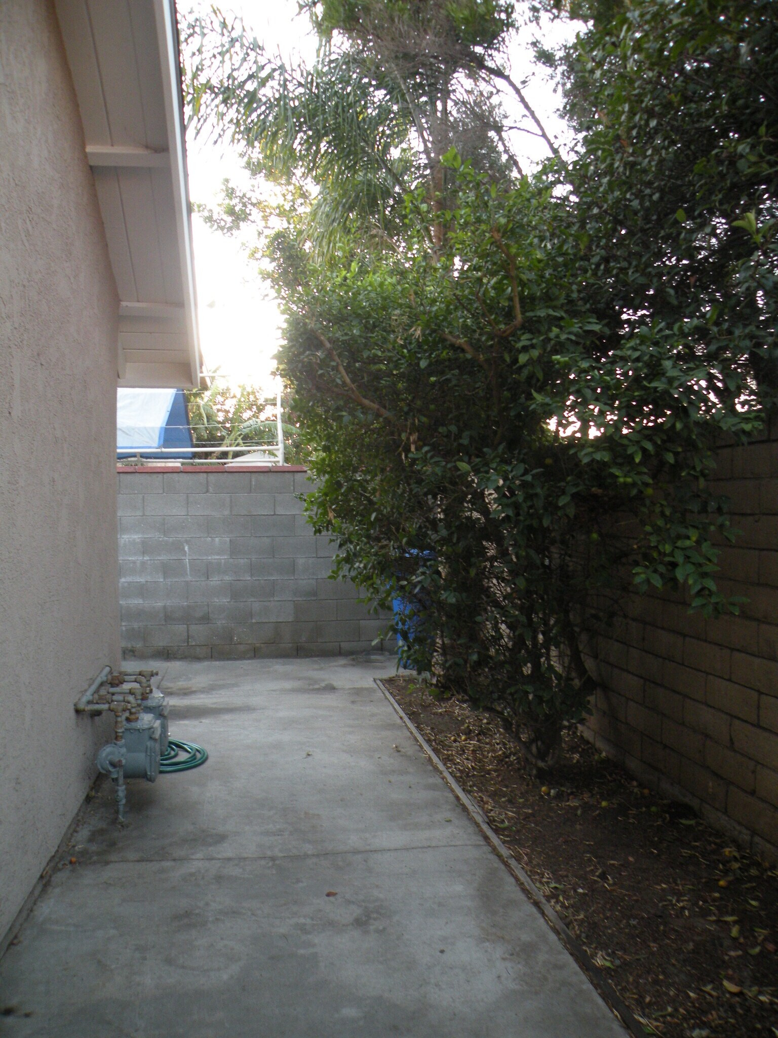 Backyard to Studio unit - 16584 Lorelei Ln