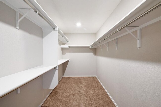 Building Photo - 7904 Gato Ln
