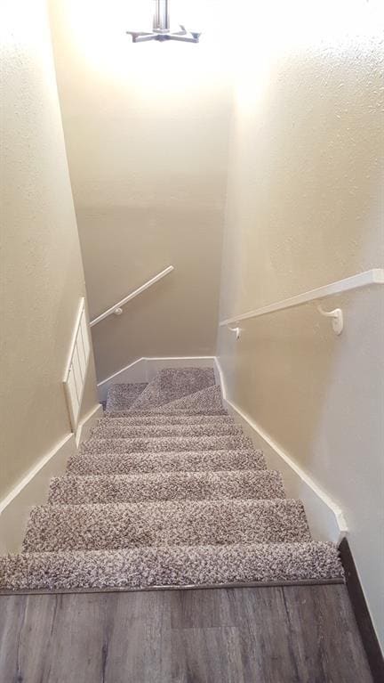 Building Photo - 822 Cardinal Creek Blvd