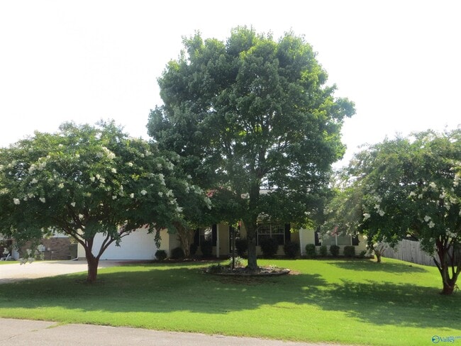 Primary Photo - 105 Royalty Ct