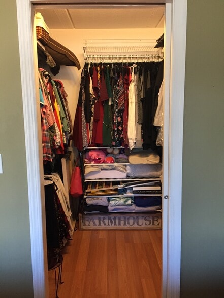 Walk-in closet - 412 Benedict Ave