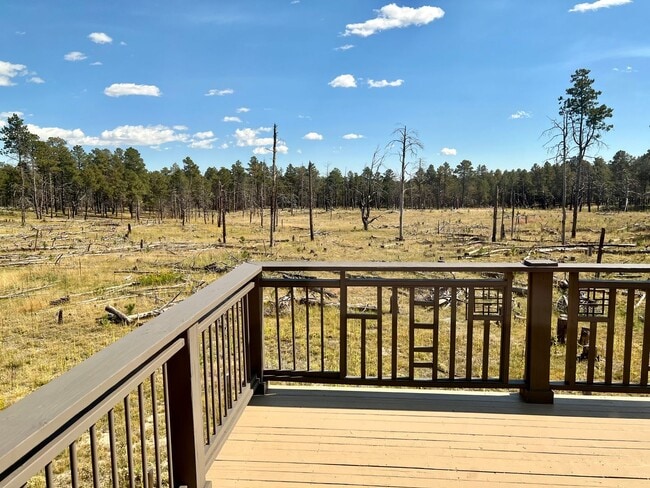 Building Photo - 1 bedroom with office in Black Forest