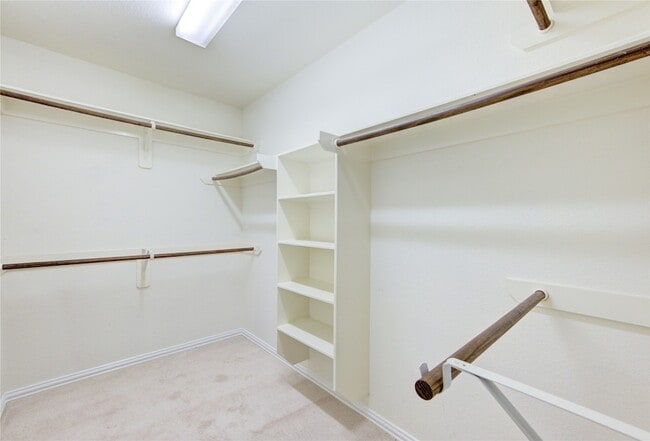 Building Photo - 6519 Point Hollow Ln