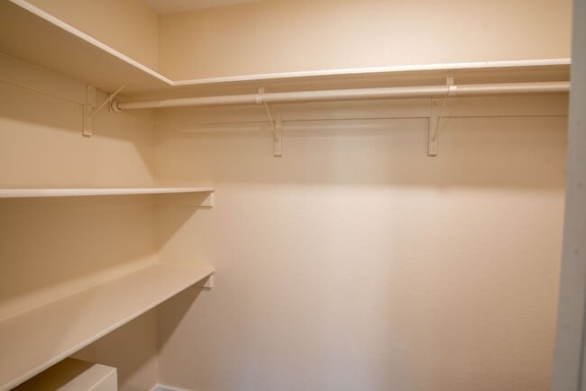 Building Photo - Fully Updated 2 Bed 1 Bath in Woodland Park!