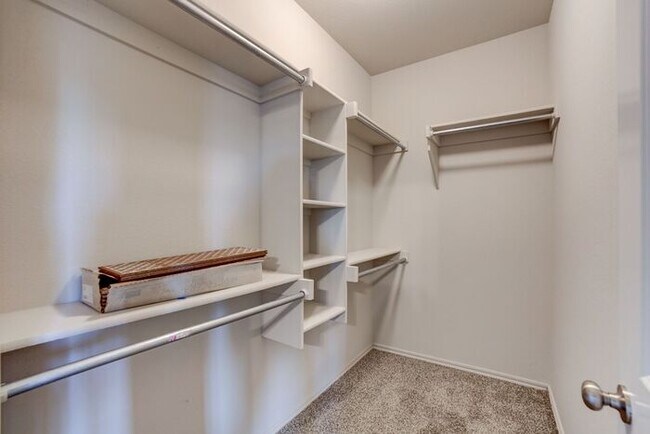 Building Photo - 3/2/2 Brand New Luxury Patio Home