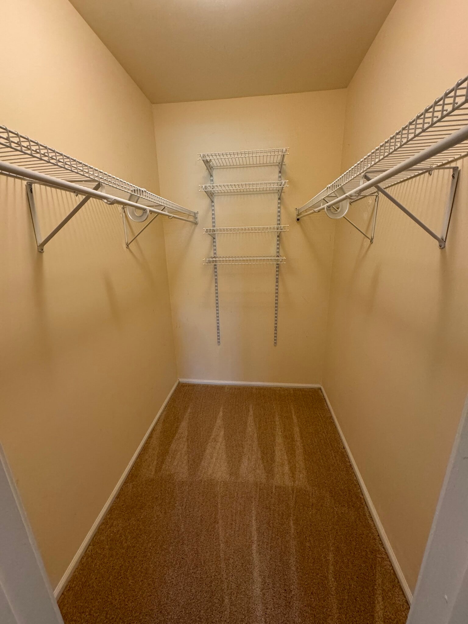 Walk in closet - 2103 Society Pl