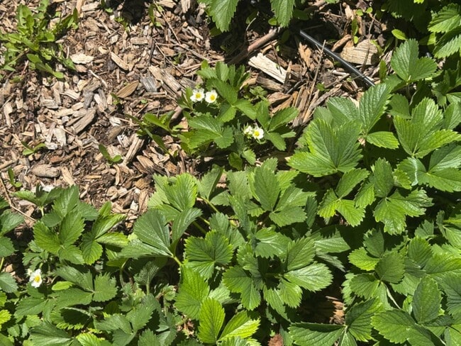 Building Photo - 3261 S 1500 W