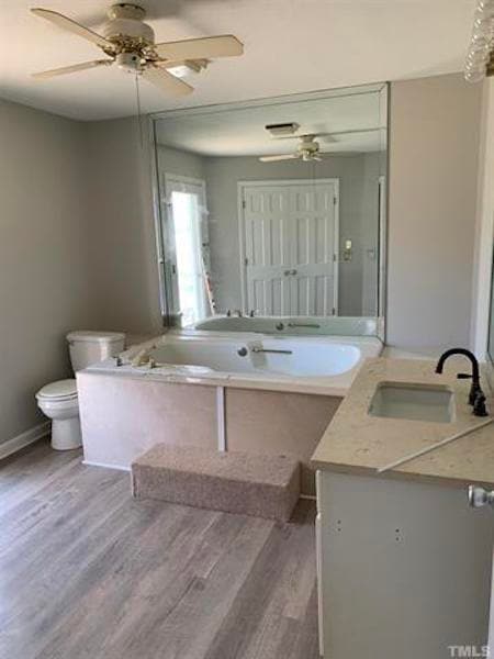 Deep jetted tub in bath #2 - 710 N Lee St