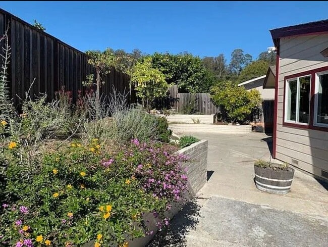 Building Photo - Beautiful 4 Bedroom Home in Santa Cruz