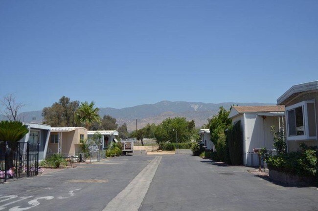 Primary Photo - Siesta Mobile Home Park