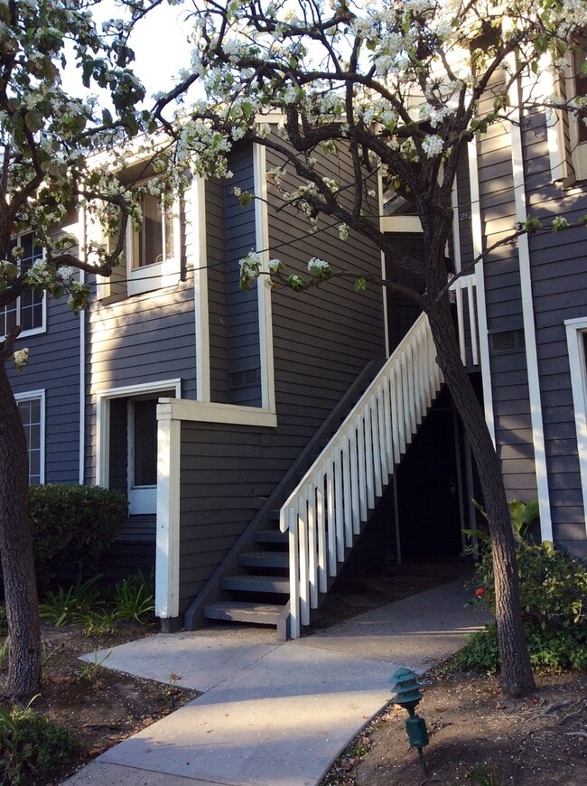 Primary Photo - GORGEOUS 2 BEDROOM 1 BATH CONDO