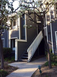 Building Photo - GORGEOUS 2 BEDROOM 1 BATH CONDO