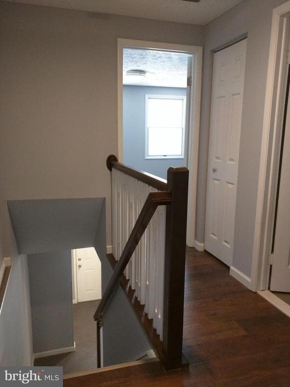 Building Photo - 1626 Devil Ln