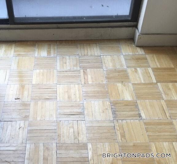 Building Photo - 147 Kelton St