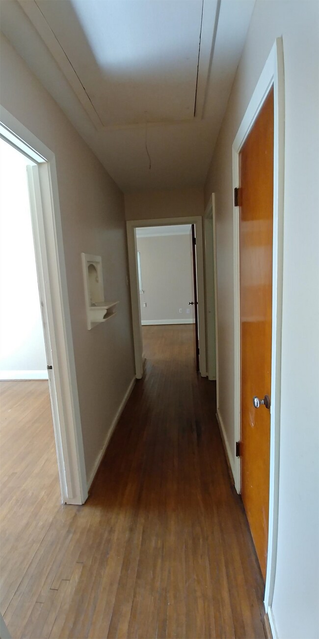 Building Photo - 104 Caladium St