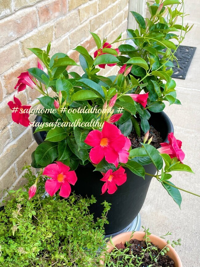 Building Photo - 7718 Royal Ln