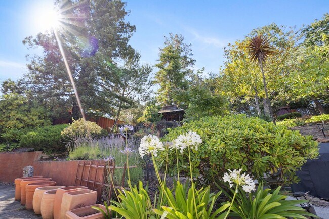 Building Photo - Elegant Two-Story Home with Backyard Oasis...