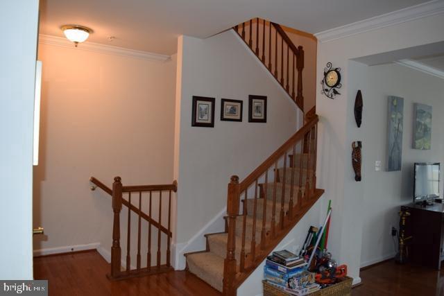 Building Photo - 4707 Eggleston Terrace