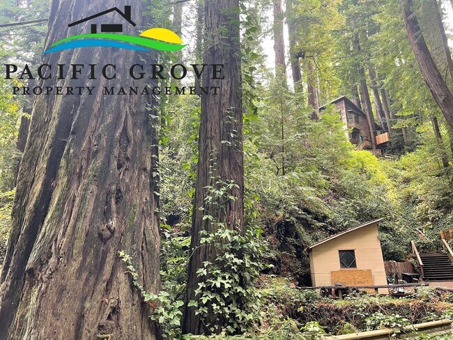 Building Photo - Cabin on Palo Colorado