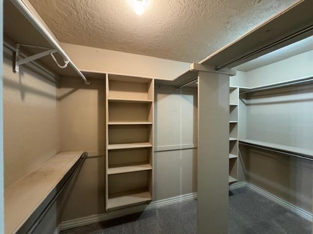 Building Photo - 4704 Stonegate Dr