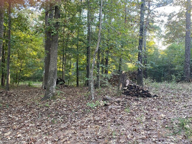 Building Photo - 2 Bedrooms, 2 Bathrooms - Home in Cedar Bluff!