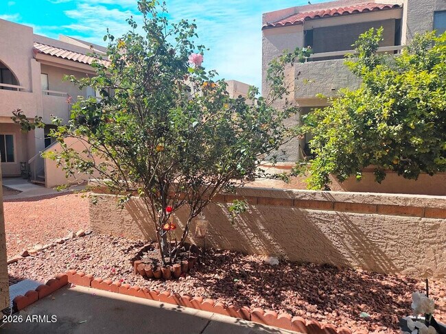 Building Photo - 11666 N 28th Dr