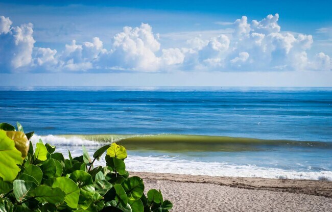 Building Photo - 353 S US Hwy 1