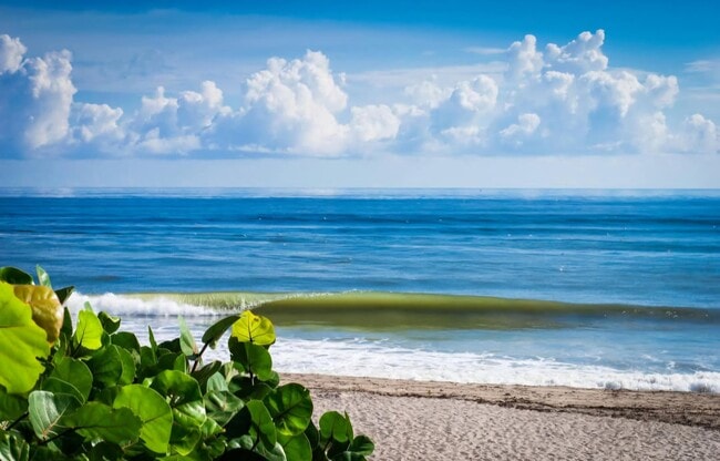 Building Photo - 401 Ocean Bluffs Blvd