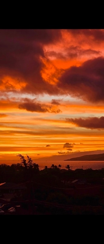 Building Photo - 86 Koki Pl