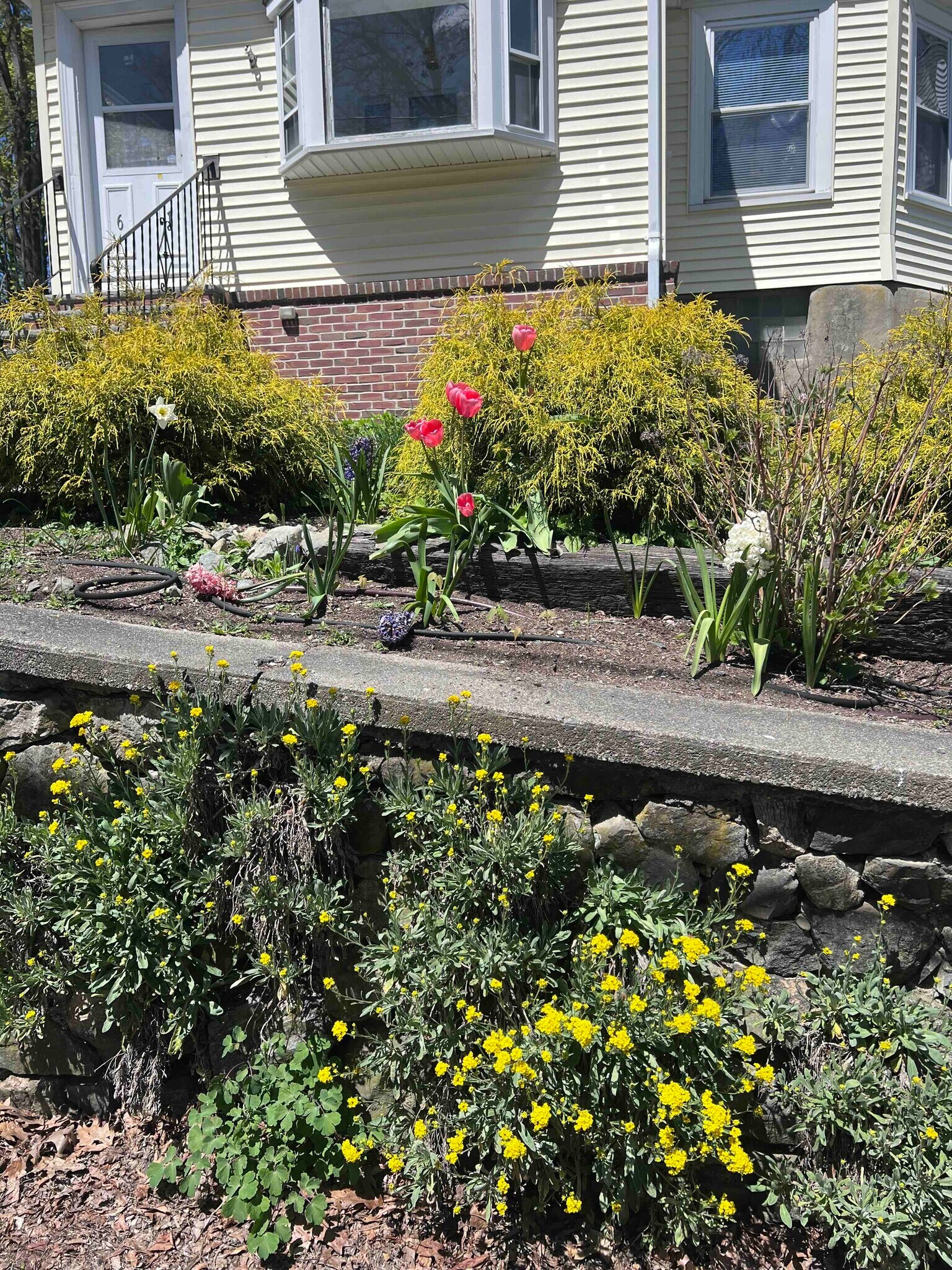 Building Photo - 61 Wollaston Ave