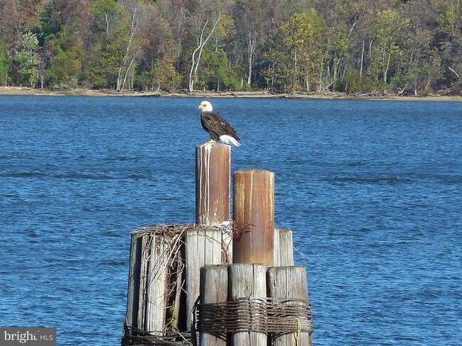 Building Photo - 700 Kahn Pl