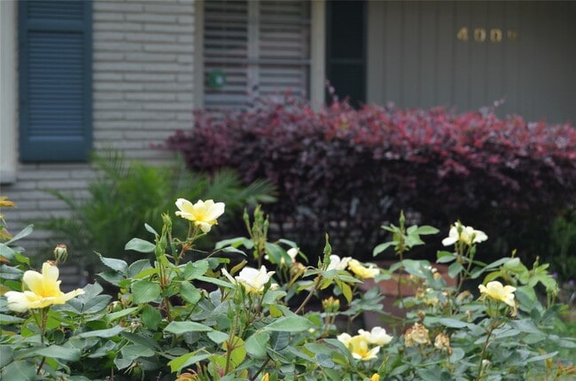 Building Photo - 4009 Nenana Dr