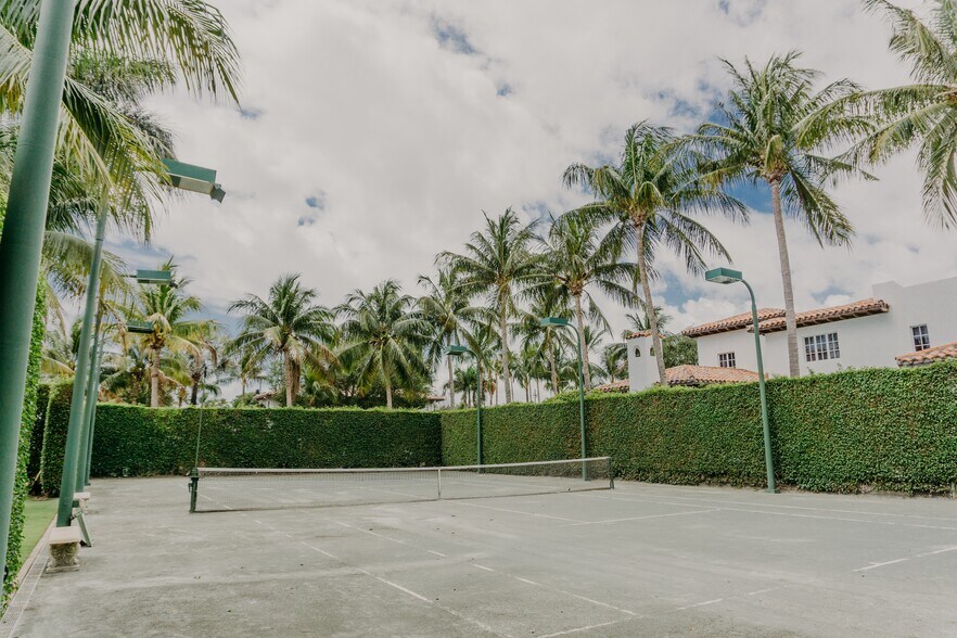 Clay tennis court - 213 E Lakewood Rd