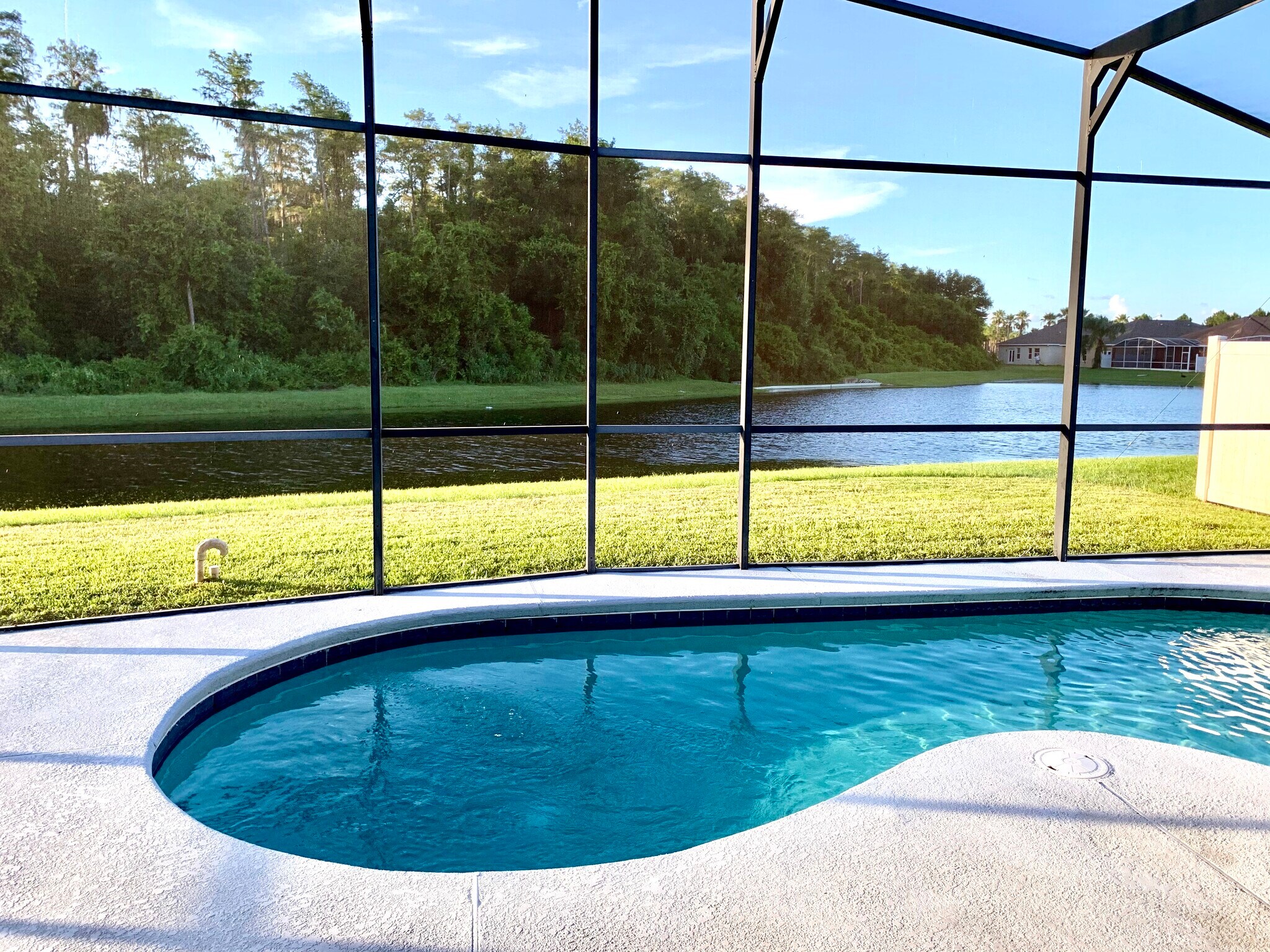 Pool view. - 1913 Magical Ln