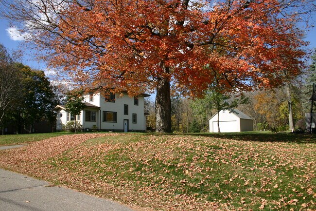 Primary Photo - 708 Park St