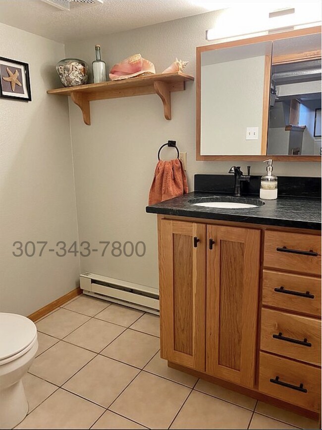 Lower level bathroom with stone counters and luxury fixtures. - 711 S 11th St