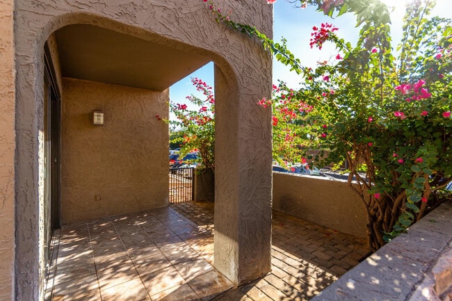 Building Photo - 3825 E Camelback Rd
