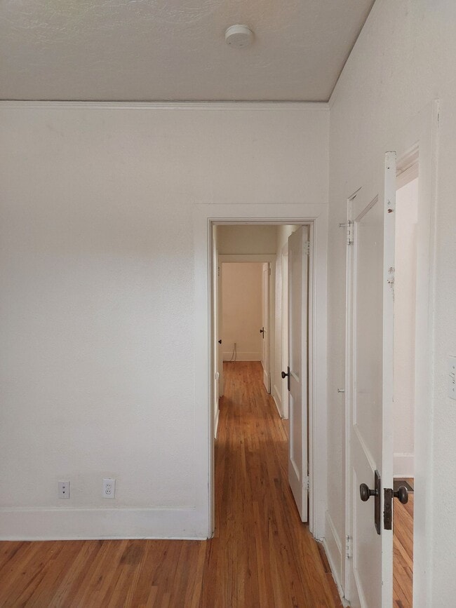 Building Photo - College Housing - 4 bedrooms