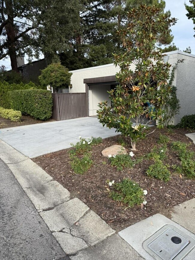 Building Photo - 2439 Sharon Oaks Dr