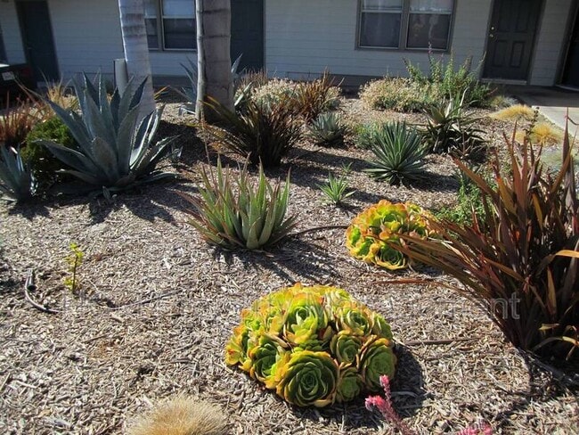 Building Photo - 103 Avenida Carmelo