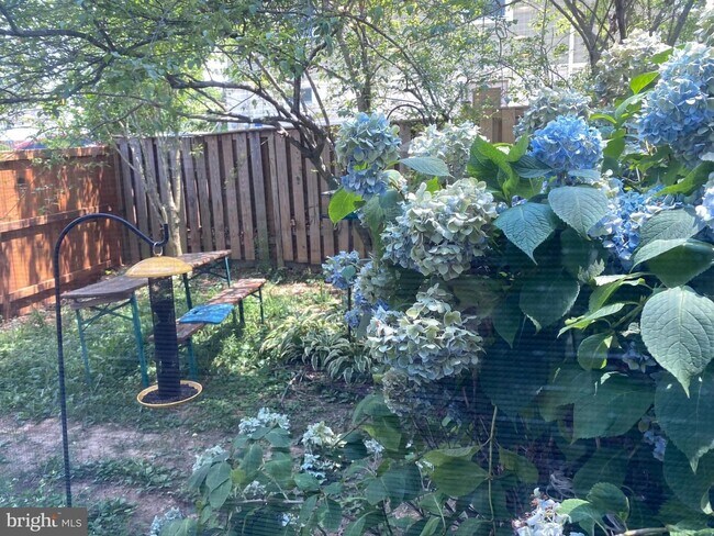 Building Photo - Show stopper