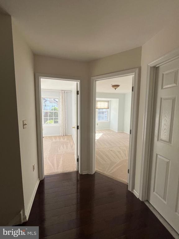 Building Photo - 637 Fawn Cir