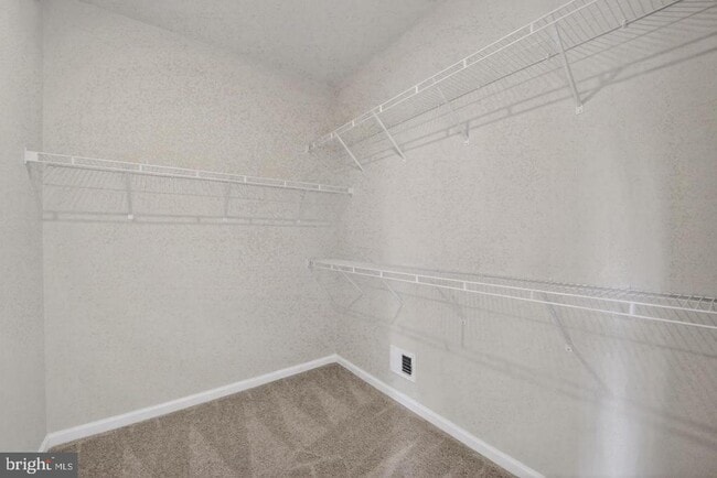 Building Photo - 2914 Lewis and Clark Ave