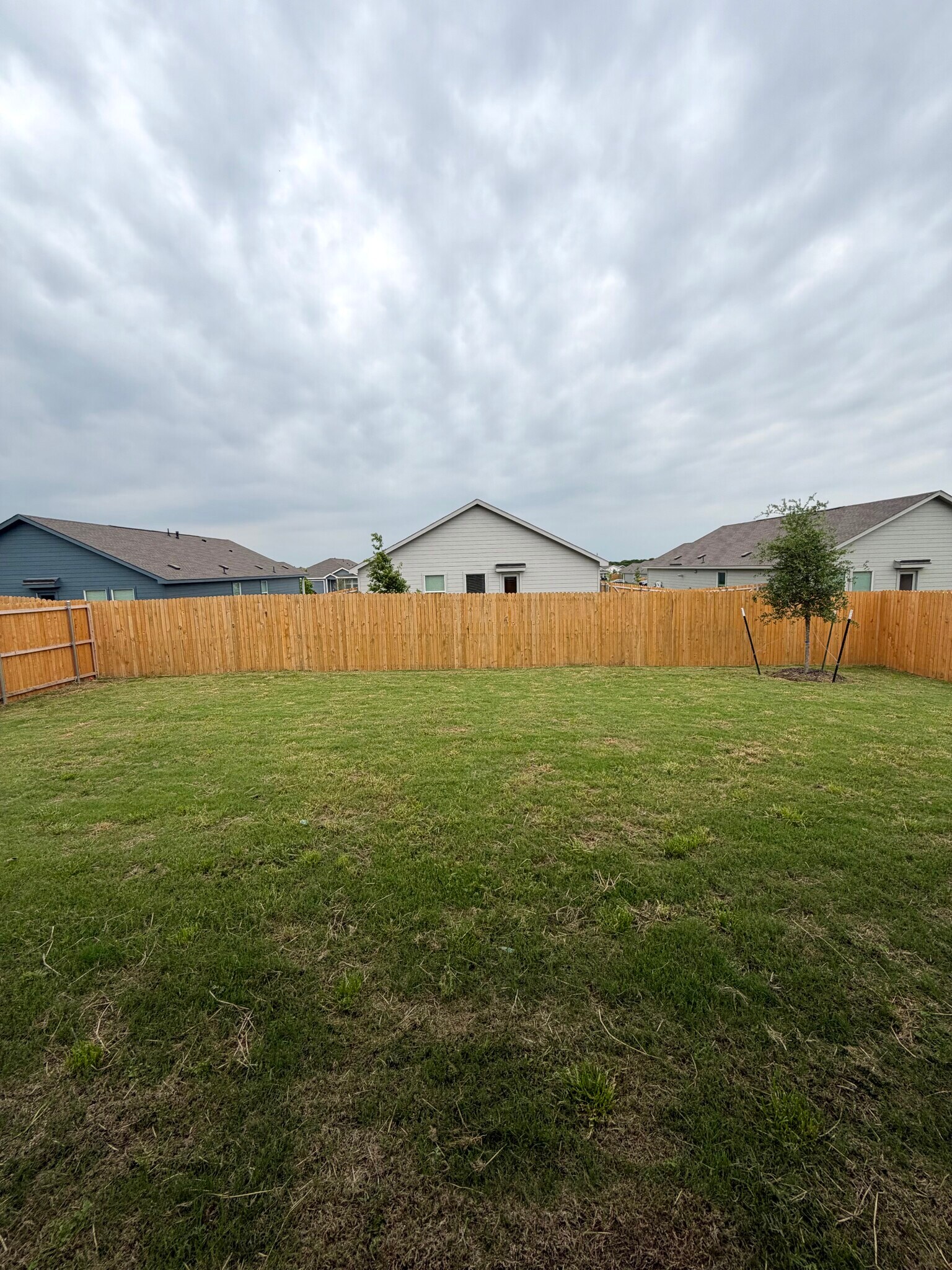 Building Photo - 3703 Oleander Pl