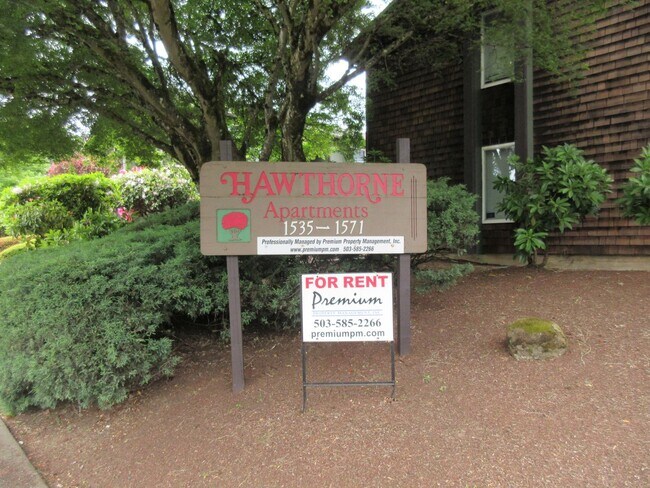 Primary Photo - One Bedroom Apartment Close to Downtown
